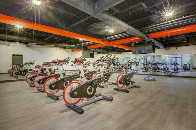 Cycle Room