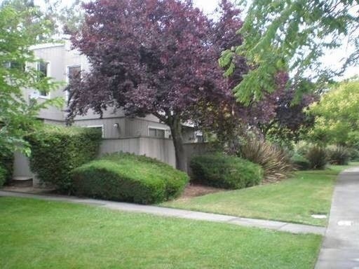 Photo - 2035 Mount Olive Dr
