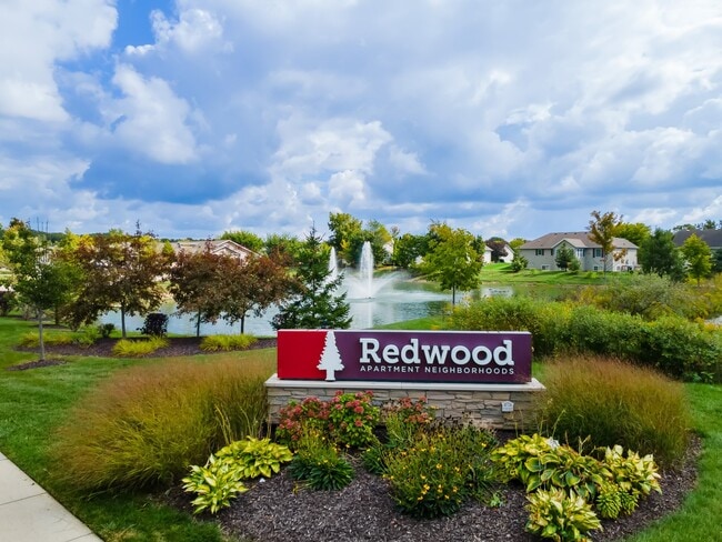Redwood Zeeland