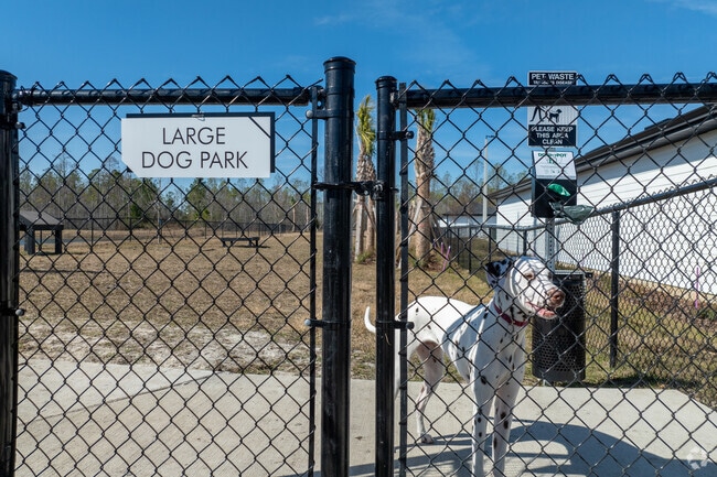 Dog Park