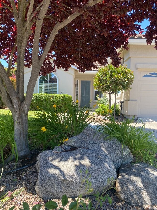 Photo - 4 bedroom in Paso Robles