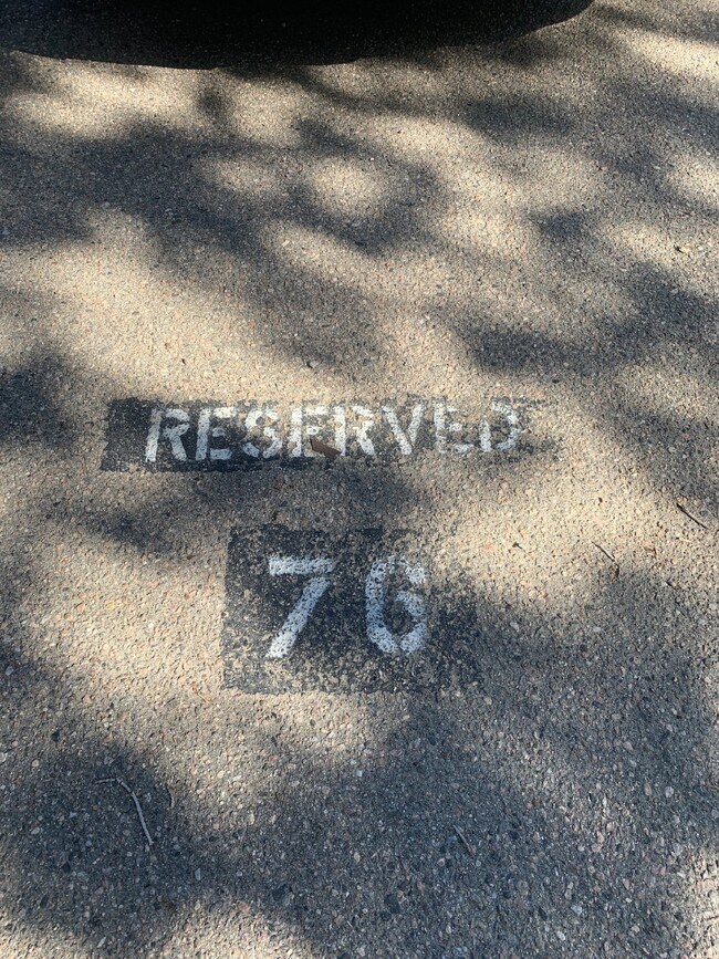 Photo - Available September! Newly Updated 2 bed/2 bath Condo Unit 302