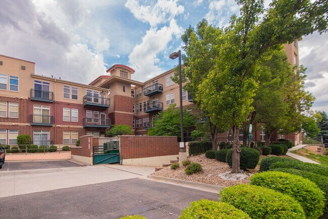 10176 Park Meadows Dr Unit 2410