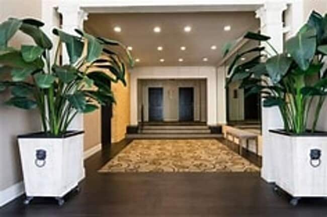 Photo - New Remodeled Units Unidad A-38