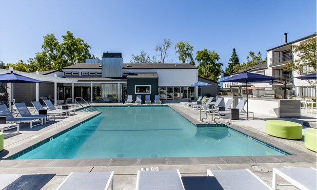 Avana Stoneridge