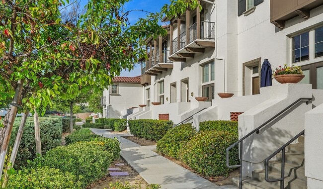 Beautifully landscaped grounds that make coming home a pleasure. - Vineyards at Paseo Del Sol