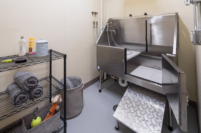Pet bathing area - keep your bathroom hair-free! - Affinity at Arlington 62+