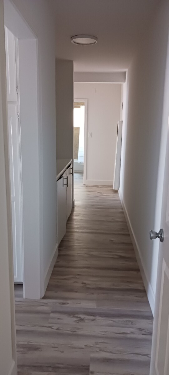 Photo - Palm Villa Apartments