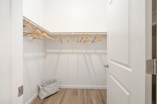 Photo - Brioso at the Bridges