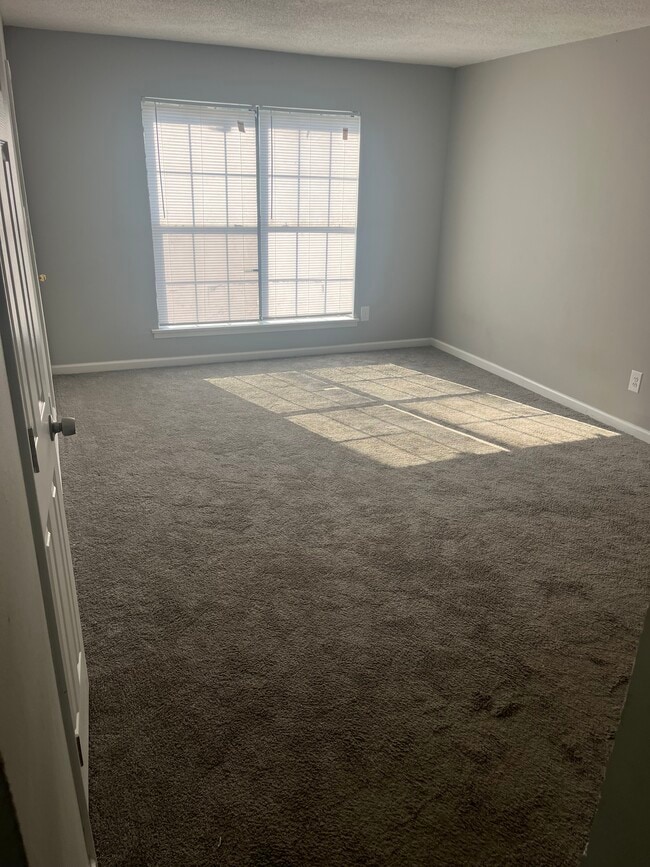 Raintree Apartments