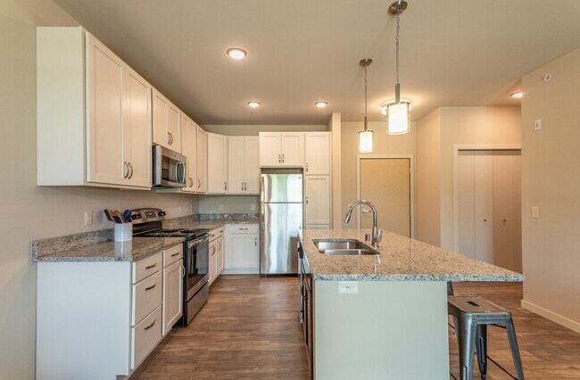 Stainless Steel Appliances: Dishwasher, OTR Microwave, Stove and Fridge