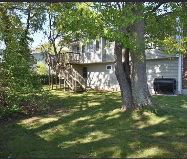 Photo - 90 Dorchester Rd Unidad 1