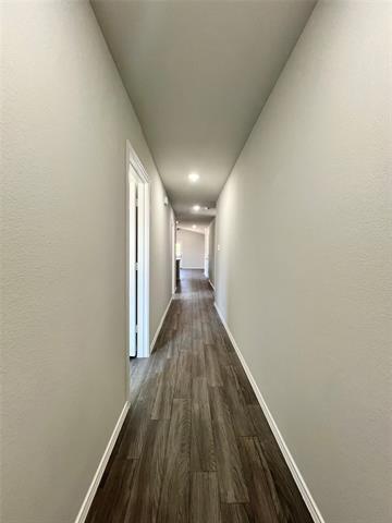 Photo - 252 Peace Lily Wy