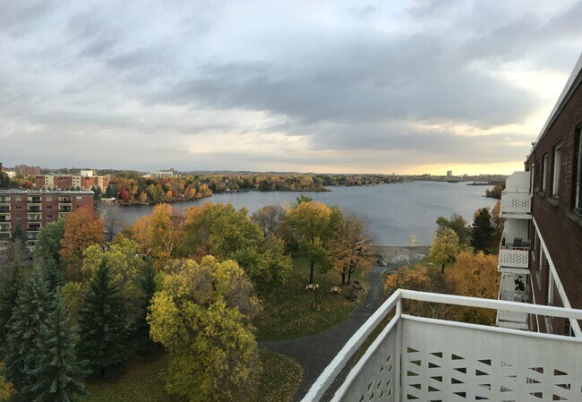 Photo - Casadolfo Apartments