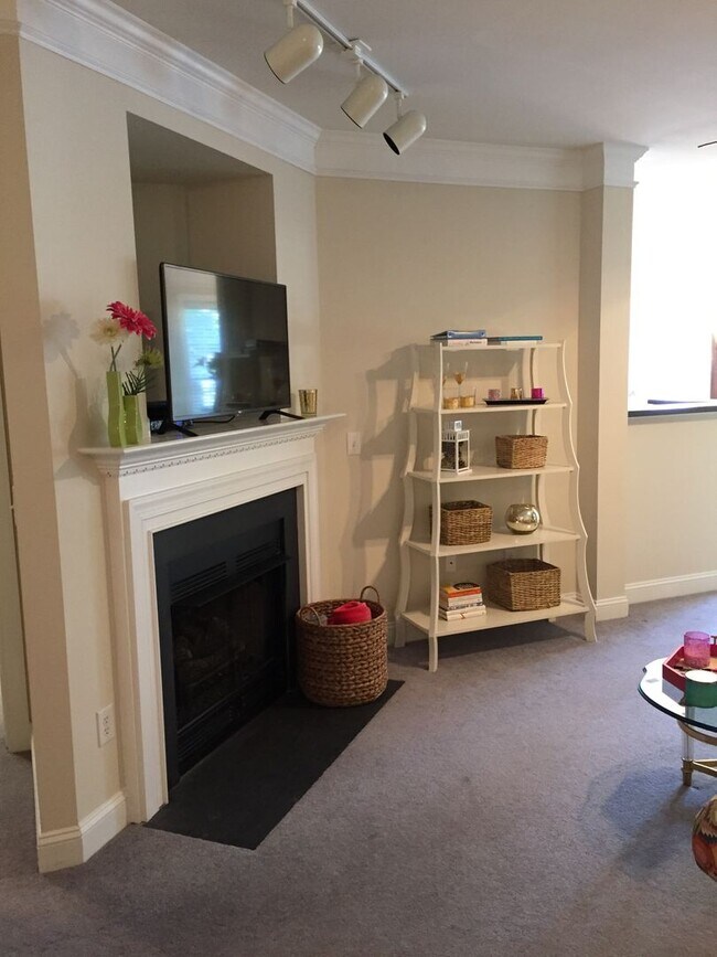 Photo - 2 Bedroom, 2 Bathroom Condo in Chapel Hill