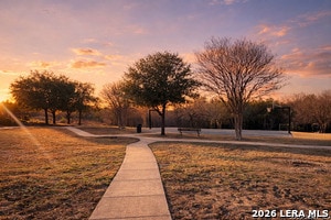 Photo - 10354 Oakwood Crest