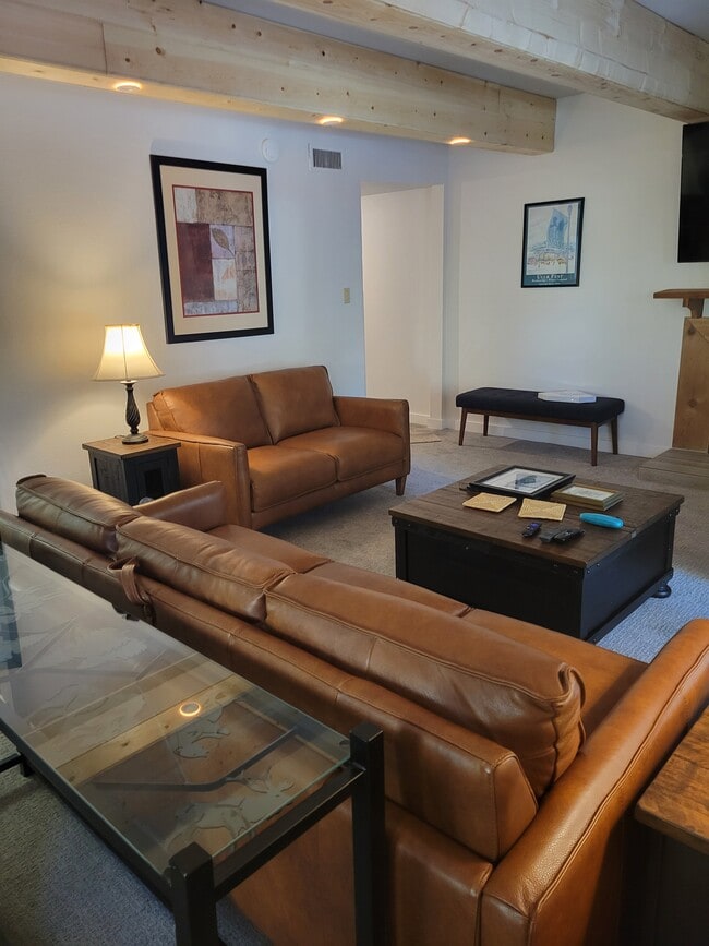 Living room - 700 Snowberry Ln