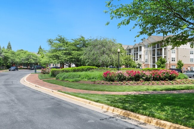 Photo - 19625 Galway Bay Cir Unidad 204