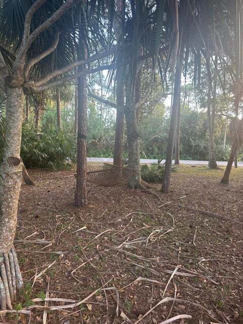 Photo - 12523 169th Ct N