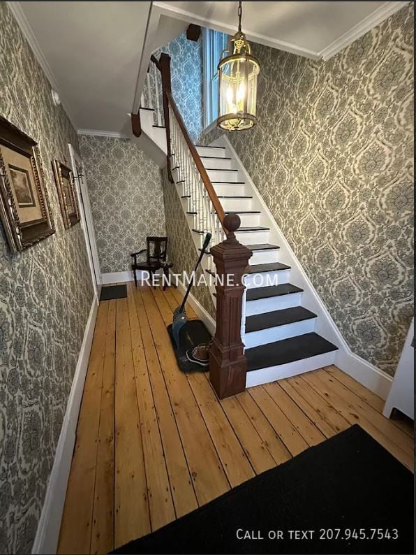 Building Photo - 88 Norfolk St Unit 3