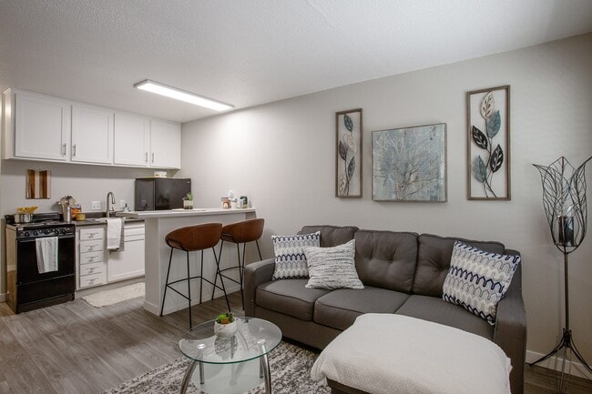 Encanto Lofts Apartments