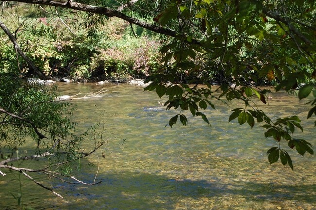 Photo - 1089 Aubrey Turner Rd