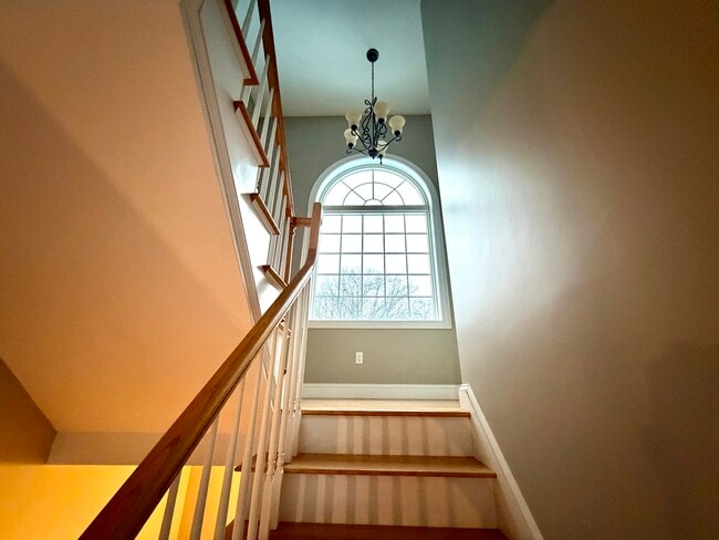 Photo - 46B Dominion Rd