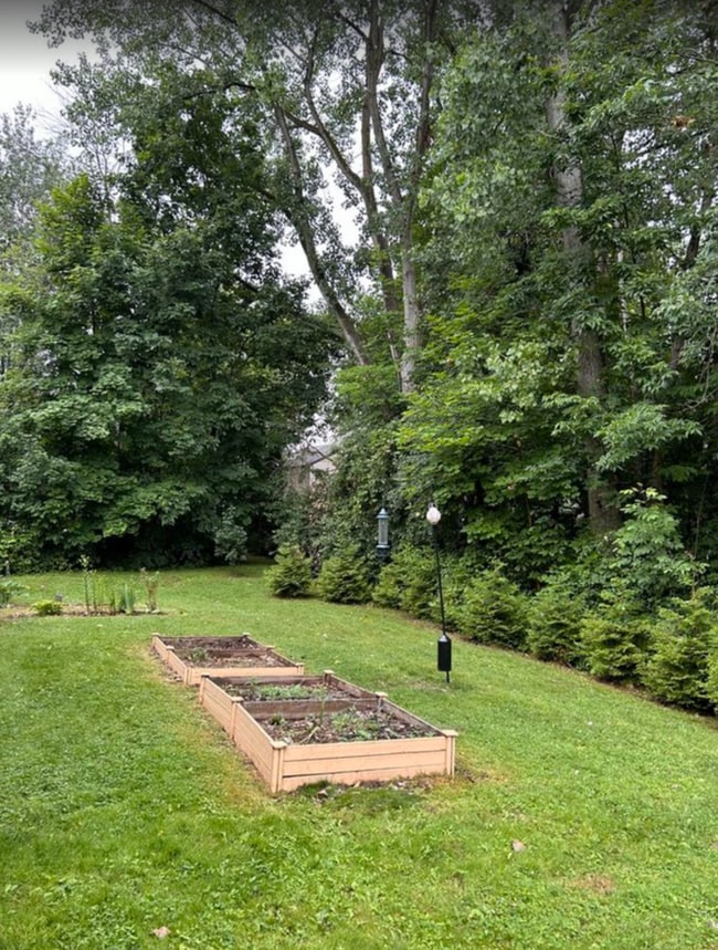 Patio delantero - 3114 Burrwood Dr