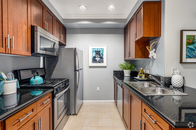 1BR, 1BA - 730SF - Kitchen