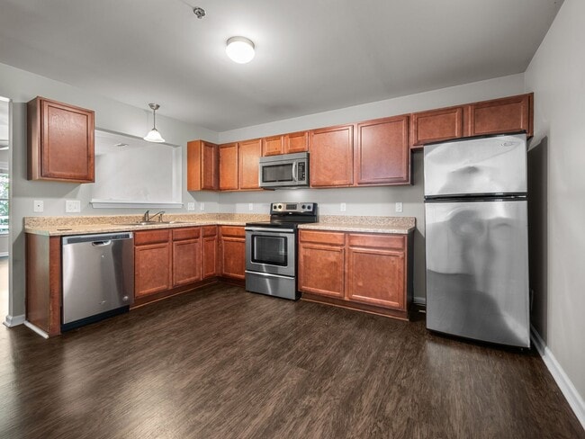 Photo - Welcome to Acorn Forest!