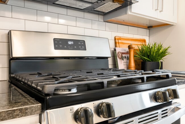 Designer Collection Kitchen