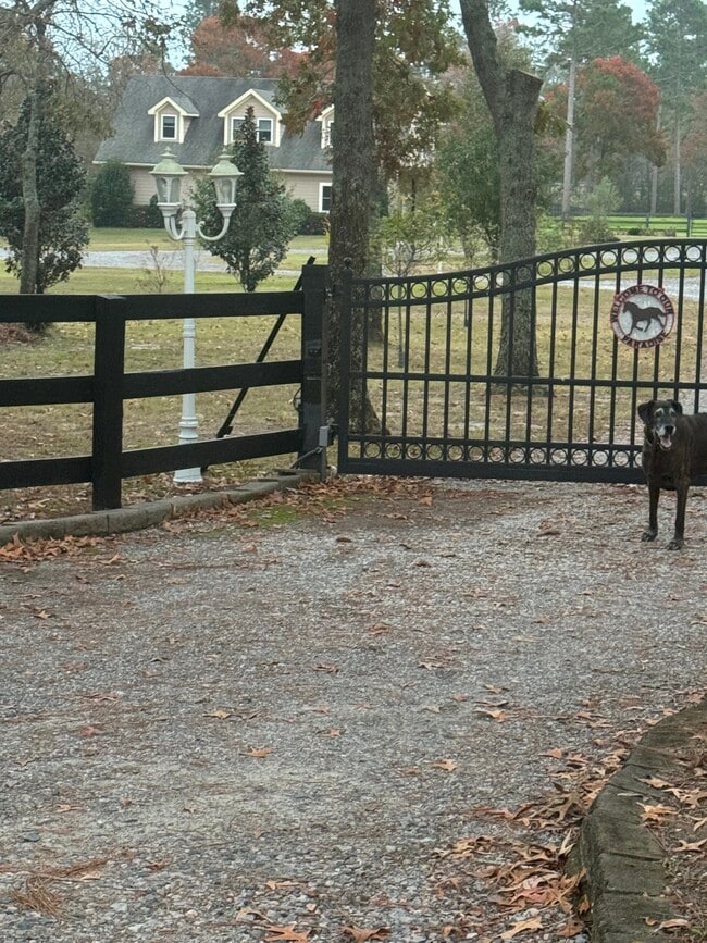 Looking in from road. Gated property - 970 Shell Bluff Dr House