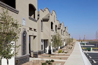 Homestead Palms