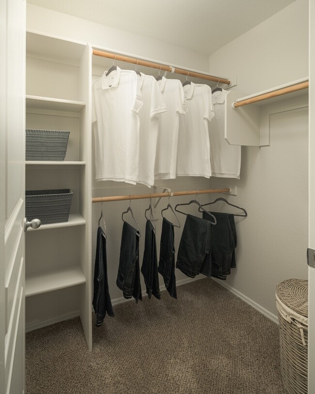 Large walk-in closets at Trevi Apartment Homes