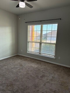 Photo - 7801 Hickman St