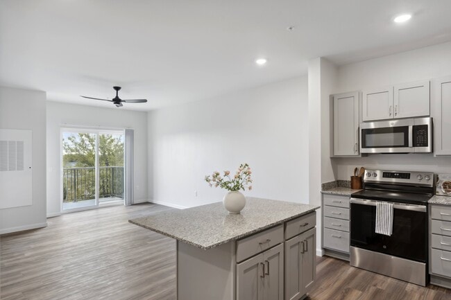 Kitchen and Living Area