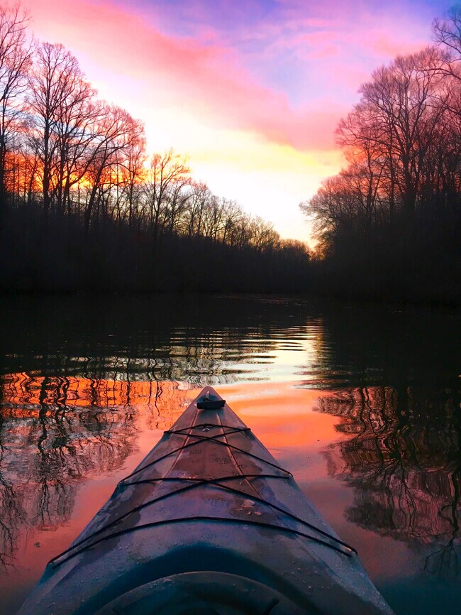 Fishing, boating, and hiking are just up the road at the gorgeous Mayo Lake
