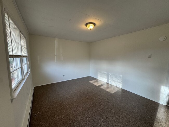 Photo - Ready to show!