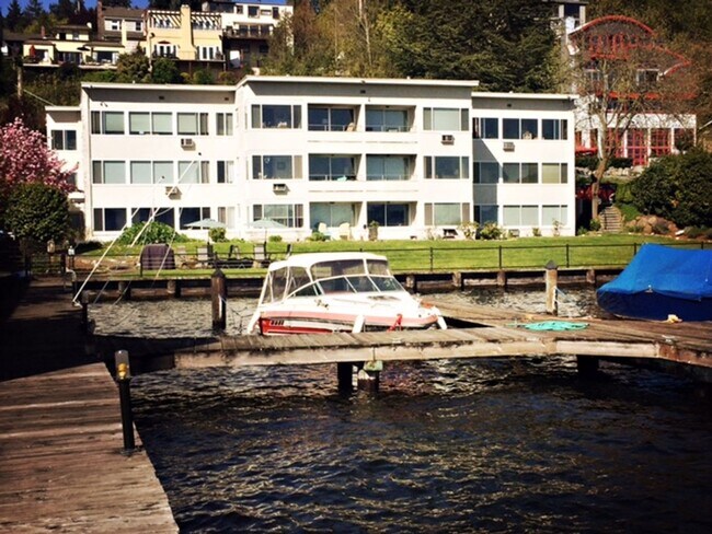 Photo - Blue Dolphin