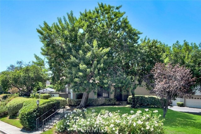 Photo - 14 Evening Breeze