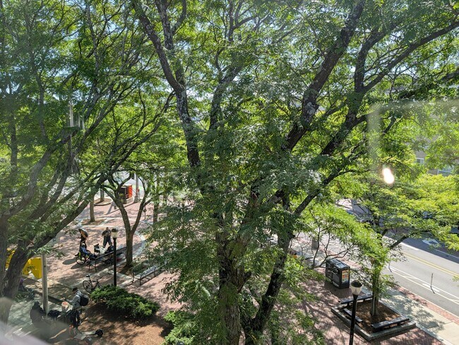 37 Davis Sq Unidad 2