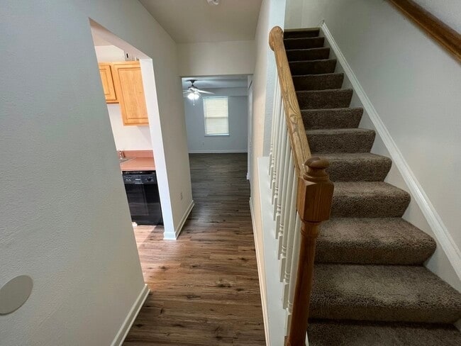 Photo - 3517 Briel St Unit 5