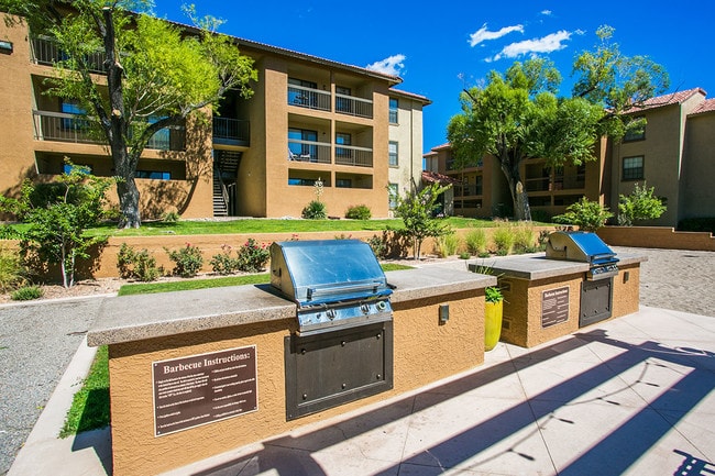 Outdoor BBQ Grills
