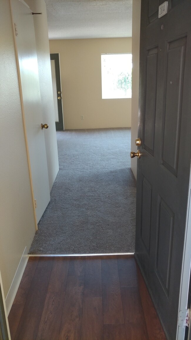 Photo - 7425 Charmant Dr Unit 2814