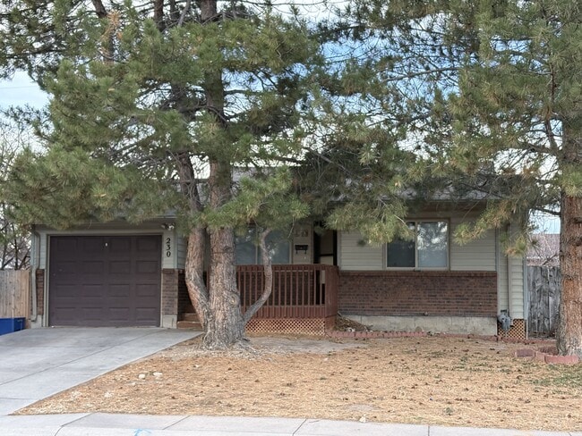 Photo - 230 Reed Ave