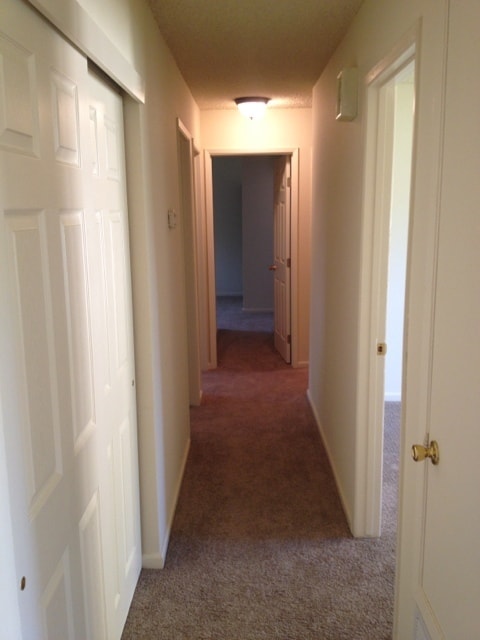 Photo - Recently Remodeled Four Bedroom Rosemont Home with Large Backyard!