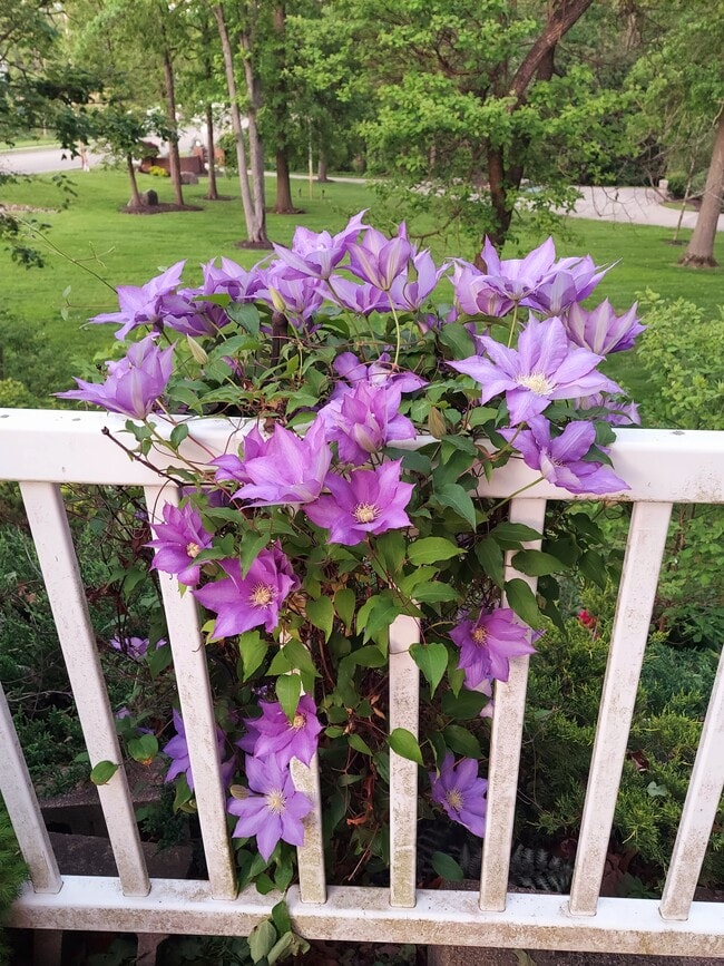 Photo - 1248 Boettler Rd Unit 1248 Boettler Rd