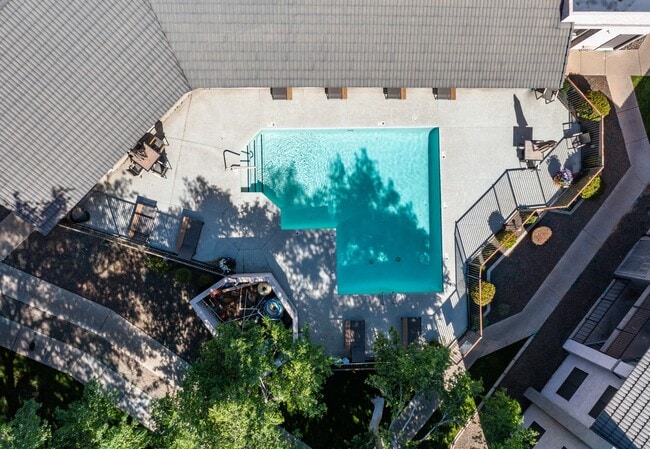 Haven at South Phoenix Pool - Haven at South Mountain Apartments