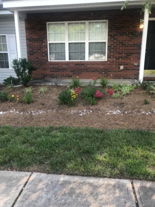 Photo - 10852 Holly Ridge Blvd