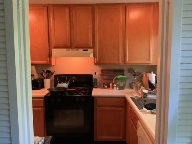 Cabinet space cabinet space cabinet space! - 10631 Weymouth St Unit 203